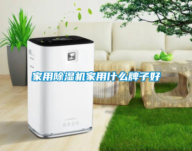 家用除濕機家用什么牌子好