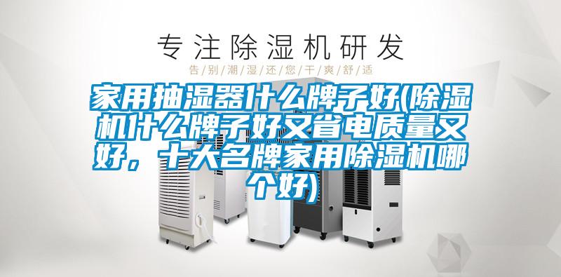 家用抽濕器什么牌子好(除濕機(jī)什么牌子好又省電質(zhì)量又好，十大名牌家用除濕機(jī)哪個(gè)好)