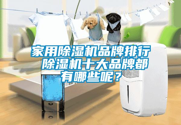 家用除濕機(jī)品牌排行 除濕機(jī)十大品牌都有哪些呢？