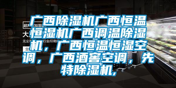 廣西除濕機廣西恒溫恒濕機廣西調溫除濕機，廣西恒溫恒濕空調，廣西酒窖空調，先特除濕機,