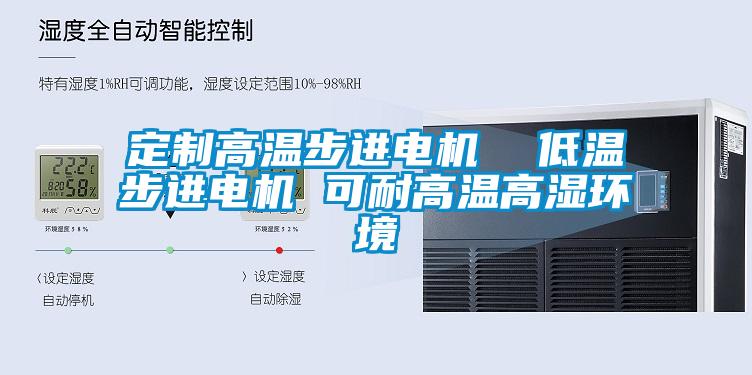 定制高溫步進電機  低溫步進電機 可耐高溫高濕環(huán)境