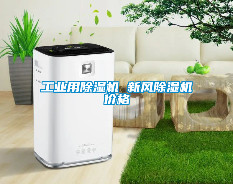 工業(yè)用除濕機 新風除濕機價格