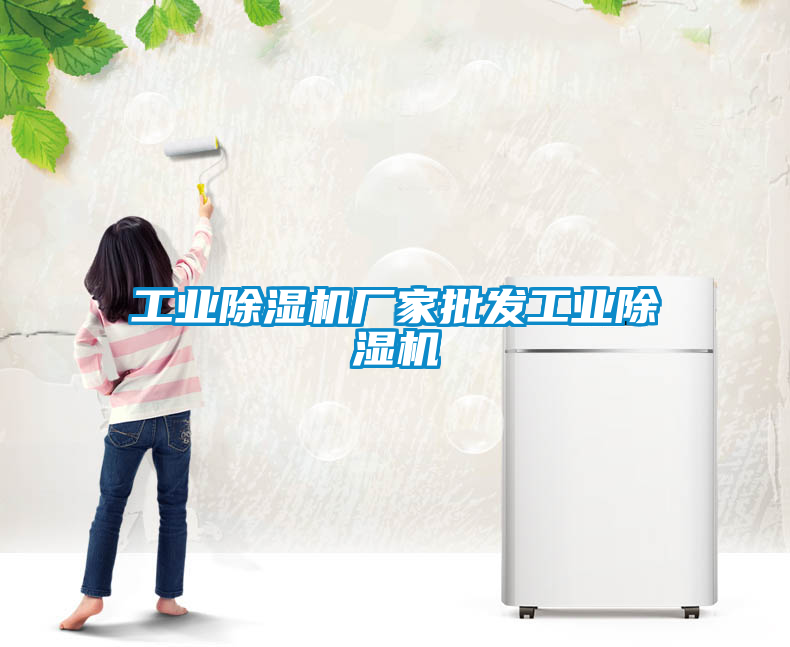 工業(yè)除濕機廠家批發(fā)工業(yè)除濕機