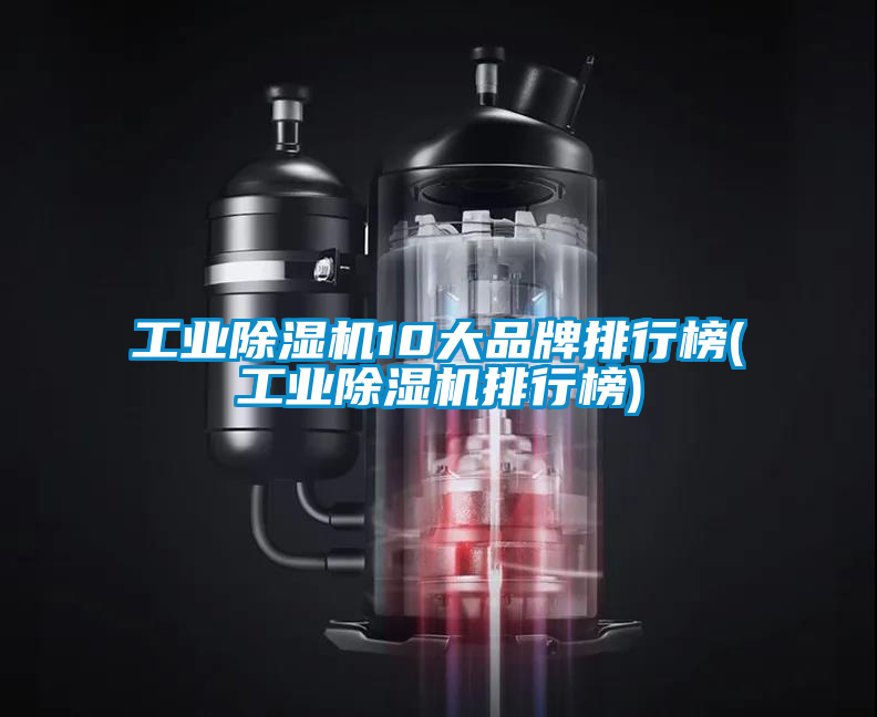 工業(yè)除濕機(jī)10大品牌排行榜(工業(yè)除濕機(jī)排行榜)