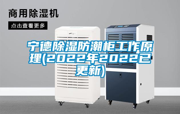 寧德除濕防潮柜工作原理(2022年2022已更新)