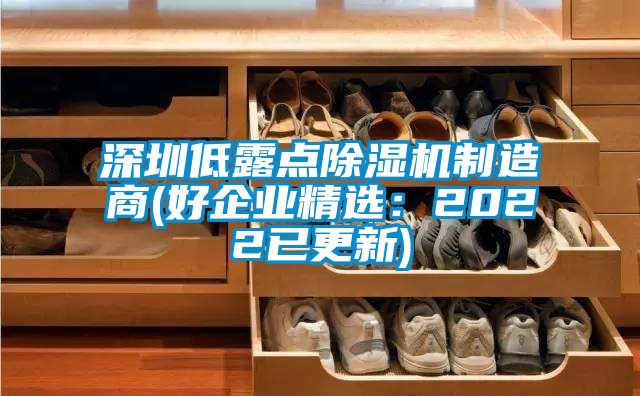 深圳低露點(diǎn)除濕機(jī)制造商(好企業(yè)精選：2022已更新)