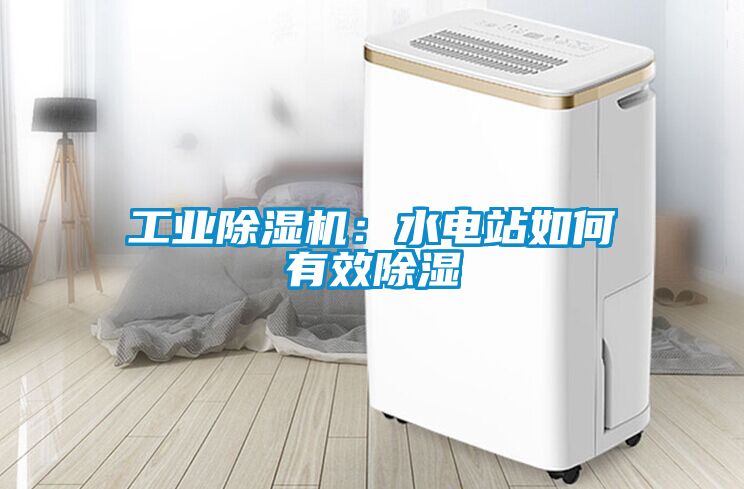 工業(yè)除濕機：水電站如何有效除濕