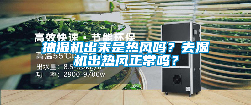 抽濕機出來是熱風嗎？去濕機出熱風正常嗎？