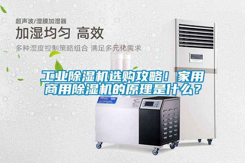 工業(yè)除濕機選購攻略！家用商用除濕機的原理是什么？