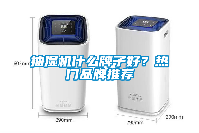 抽濕機(jī)什么牌子好？熱門品牌推薦