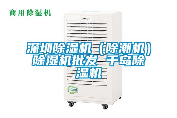 深圳除濕機（除潮機）除濕機批發(fā) 千島除濕機