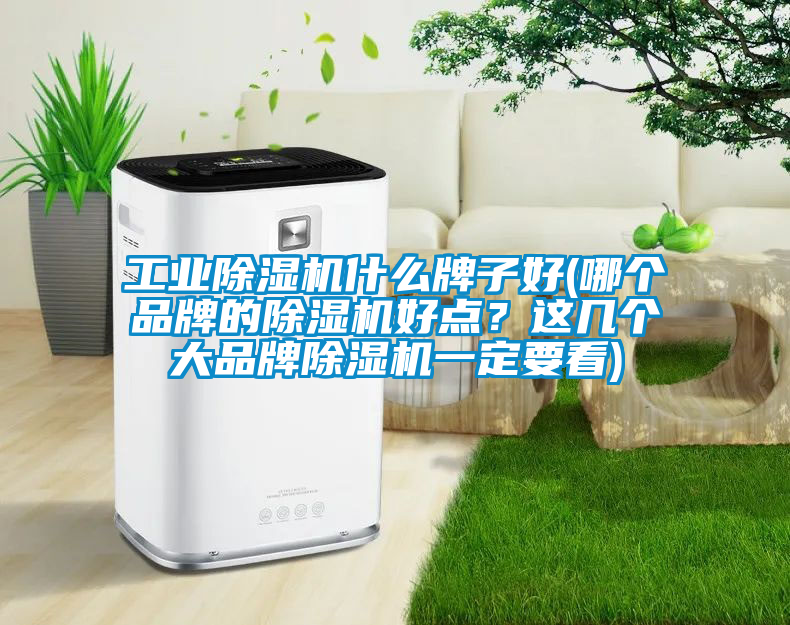 工業(yè)除濕機(jī)什么牌子好(哪個品牌的除濕機(jī)好點？這幾個大品牌除濕機(jī)一定要看)