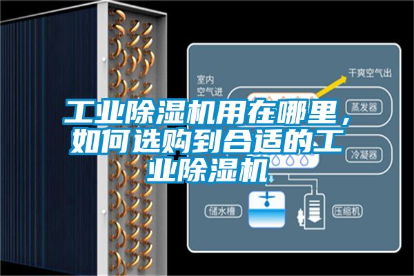 工業(yè)除濕機(jī)用在哪里，如何選購到合適的工業(yè)除濕機(jī)