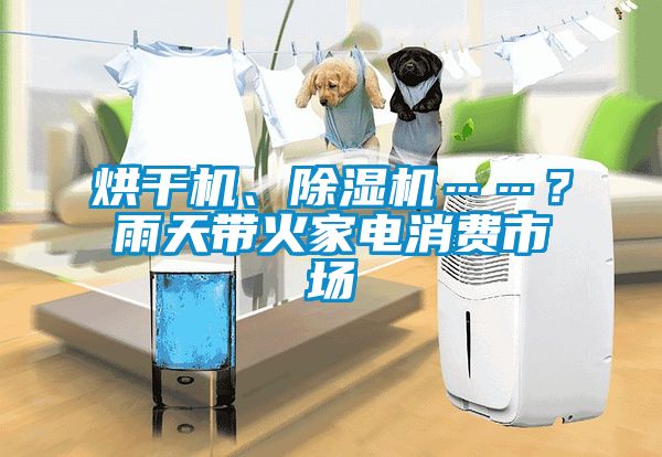 烘干機(jī)、除濕機(jī)……？雨天帶火家電消費(fèi)市場(chǎng)