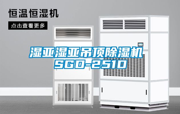 濕亞濕亞吊頂除濕機 SGD-251D