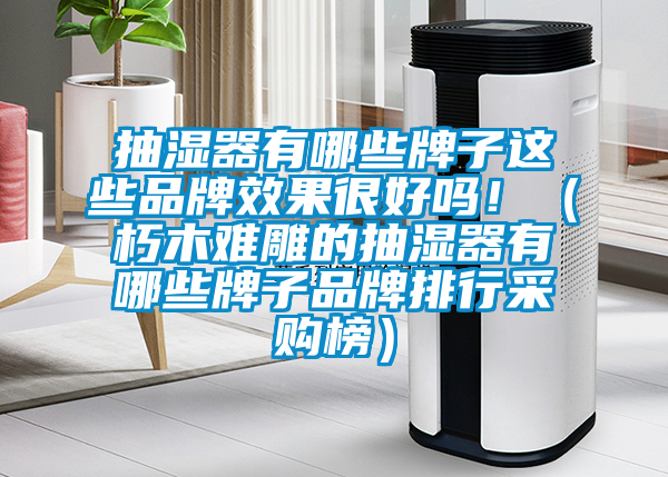 抽濕器有哪些牌子這些品牌效果很好嗎?。ㄐ嗄倦y雕的抽濕器有哪些牌子品牌排行采購榜）