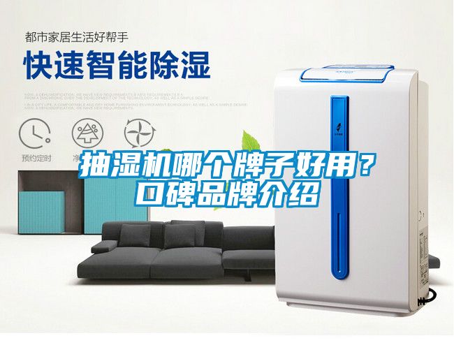 抽濕機哪個牌子好用？口碑品牌介紹