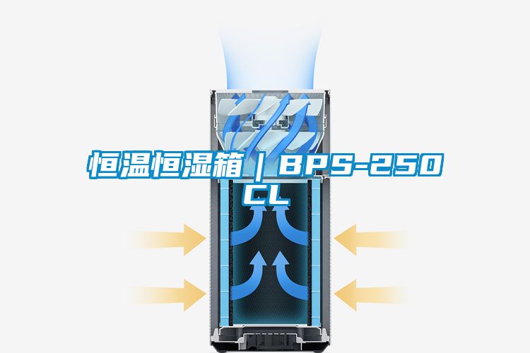 恒溫恒濕箱｜BPS-250CL