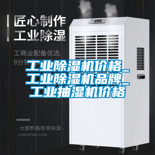 工業(yè)除濕機(jī)價(jià)格_工業(yè)除濕機(jī)品牌_工業(yè)抽濕機(jī)價(jià)格