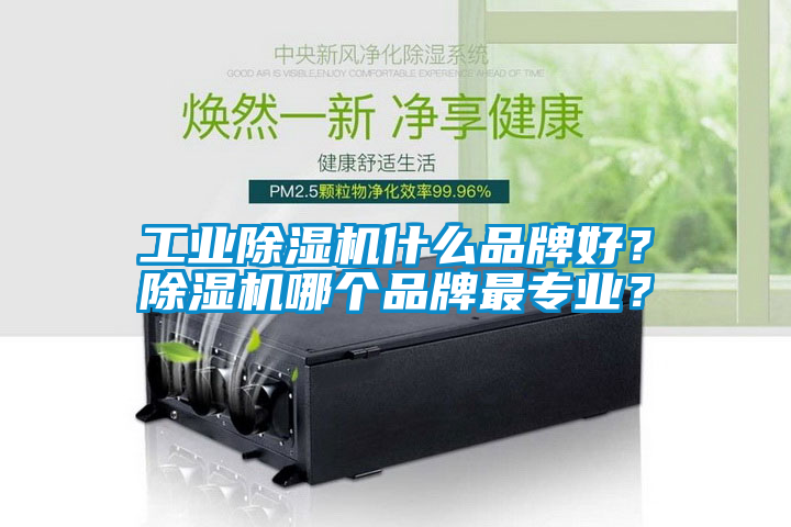 工業(yè)除濕機什么品牌好？除濕機哪個品牌最專業(yè)？