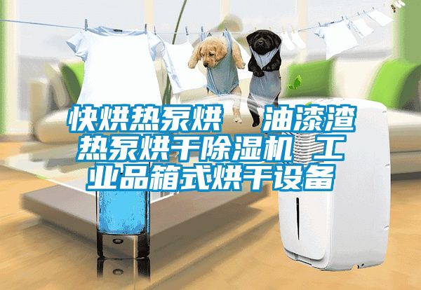 快烘熱泵烘  油漆渣熱泵烘干除濕機 工業(yè)品箱式烘干設備