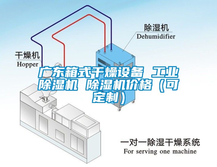 廣東箱式干燥設備 工業(yè)除濕機 除濕機價格（可定制）