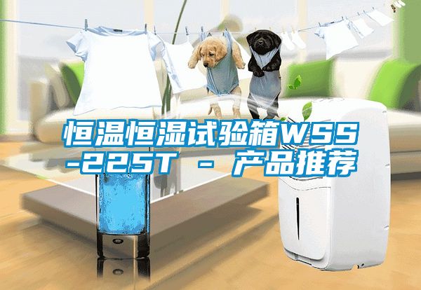 恒溫恒濕試驗箱WSS-225T - 產(chǎn)品推薦