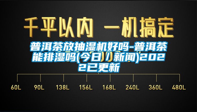 普洱茶放抽濕機(jī)好嗎-普洱茶能排濕嗎(今日／新聞)2022已更新