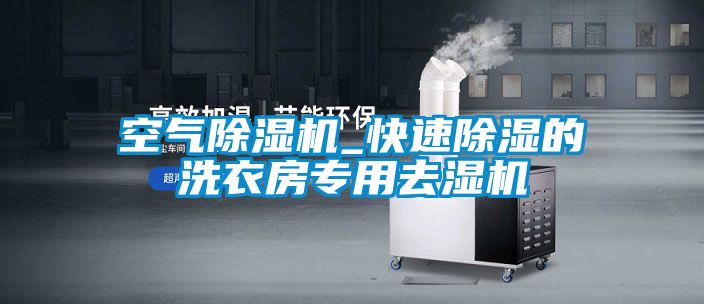 空氣除濕機_快速除濕的洗衣房專用去濕機