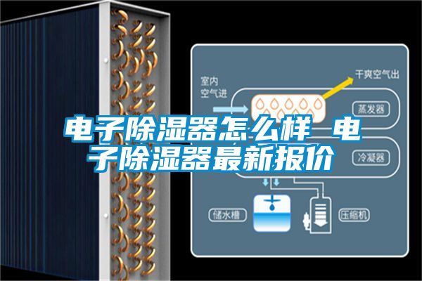 電子除濕器怎么樣 電子除濕器最新報(bào)價(jià)