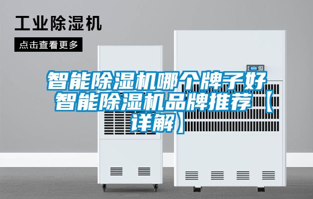 智能除濕機哪個牌子好 智能除濕機品牌推薦【詳解】