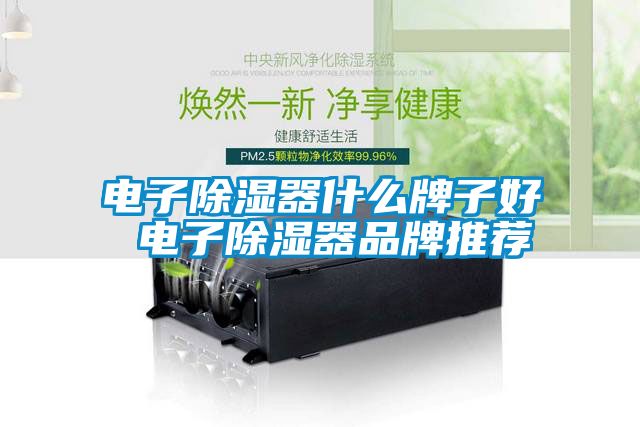 電子除濕器什么牌子好 電子除濕器品牌推薦