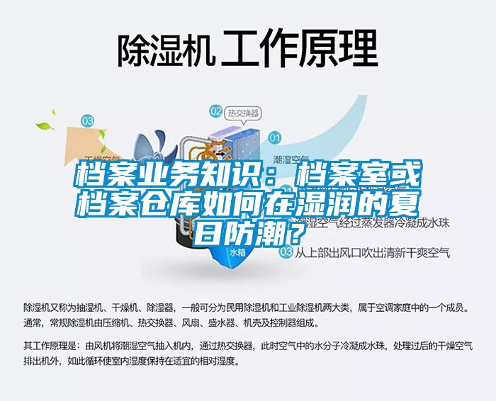 檔案業(yè)務(wù)知識：檔案室或檔案倉庫如何在濕潤的夏日防潮？