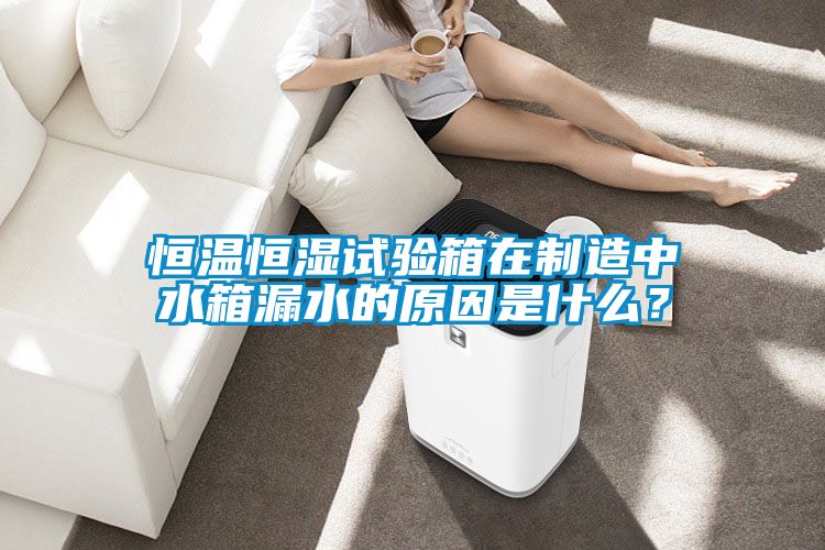 恒溫恒濕試驗(yàn)箱在制造中水箱漏水的原因是什么？