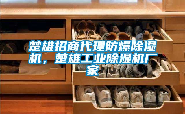 楚雄招商代理防爆除濕機，楚雄工業(yè)除濕機廠家