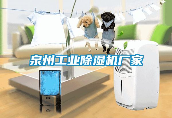 泉州工業(yè)除濕機廠家