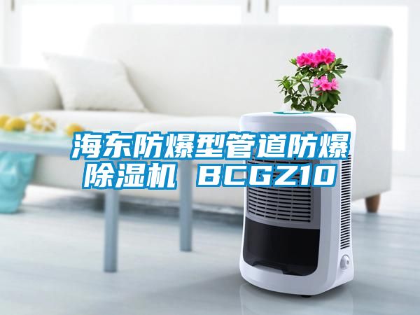 海東防爆型管道防爆除濕機(jī) BCGZ10