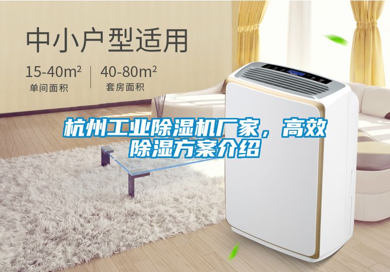 杭州工業(yè)除濕機廠家，高效除濕方案介紹