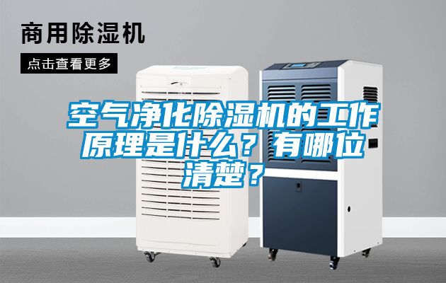 空氣凈化除濕機(jī)的工作原理是什么？有哪位清楚？