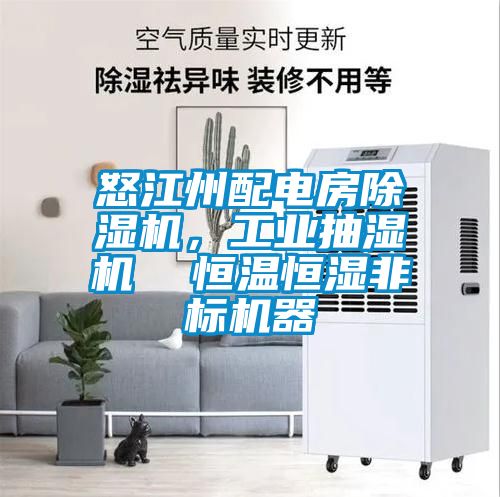 怒江州配電房除濕機(jī)，工業(yè)抽濕機(jī)  恒溫恒濕非標(biāo)機(jī)器