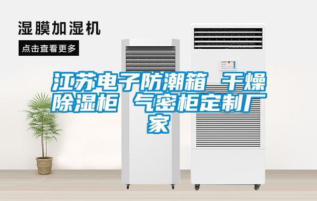 江蘇電子防潮箱 干燥除濕柜 氣密柜定制廠家