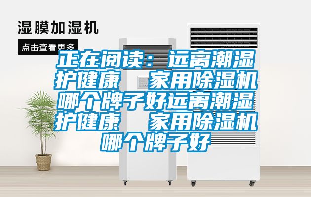 正在閱讀：遠(yuǎn)離潮濕護(hù)健康  家用除濕機(jī)哪個(gè)牌子好遠(yuǎn)離潮濕護(hù)健康  家用除濕機(jī)哪個(gè)牌子好