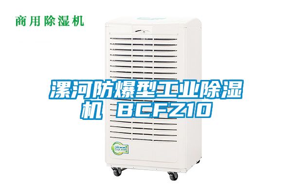 漯河防爆型工業(yè)除濕機 BCFZ10