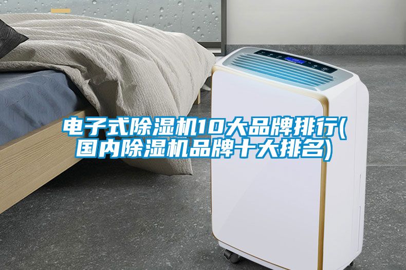 電子式除濕機(jī)10大品牌排行(國內(nèi)除濕機(jī)品牌十大排名)