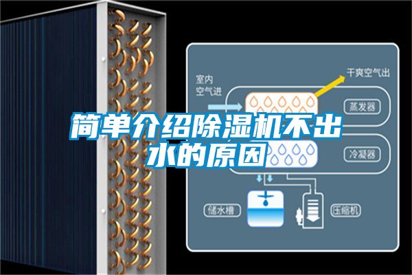 簡單介紹除濕機(jī)不出水的原因