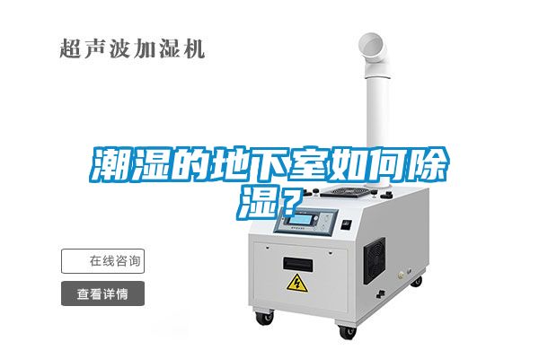 潮濕的地下室如何除濕？