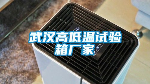 武漢高低溫試驗(yàn)箱廠家