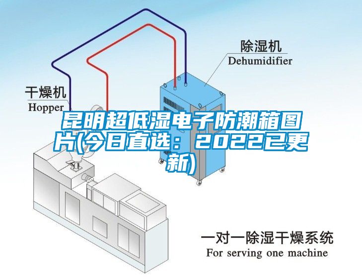 昆明超低濕電子防潮箱圖片(今日直選：2022已更新)