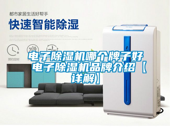 電子除濕機哪個牌子好 電子除濕機品牌介紹【詳解】