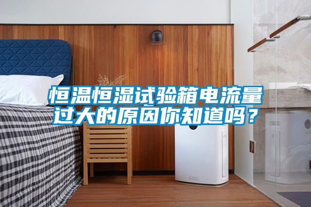 恒溫恒濕試驗箱電流量過大的原因你知道嗎？